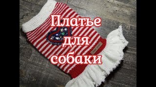 Платье для собаки спицами, diy dress for dog