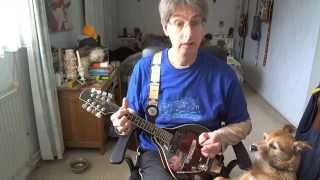 Mandolin lesson 115-House Of The Rising Sun