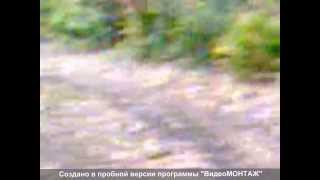 ДОКЛАДЫ, -ОКЛАДЫ, -КЛАДЫ, -ЛАДЫ, -АДЫ с.Клевенка,Ивантеевского р-на,Саратовской обл. .