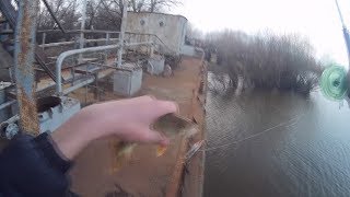 Рыбалка на балансир на открытой воде. 2017-2018.