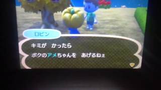 とびだせどうぶつの森 お金無限増殖技