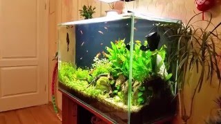 мг лампа для аквариума из китая