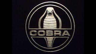 black squad sr 47 cobra