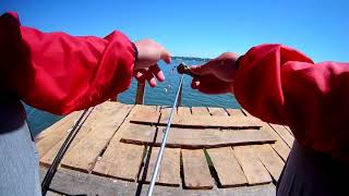 ЕСТЬ РЕЗУЛЬТАТ Кормушка с сеткой на реке Ингул/ Feeder with a grid on the river Ingul