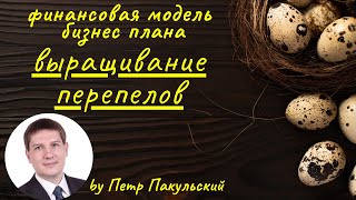 Бизнес план фермы по разведению перепелов. Перепелиная ферма.