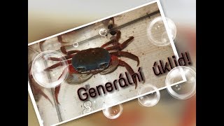 Jak vyčistit akvárium