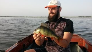 Офигенная рыбалка на окуня (Awesome fishing for perch)