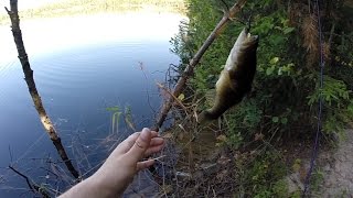 Ультралайт. Ротан на микроколебалку. (Gopro HD Hero3+ Black Edition Slow Motion test)