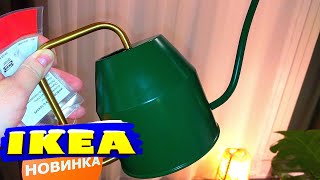 ?БЕГУ В ИКЕА?НОВИНКИ ШТУРМУЮТ МАГАЗИН?ЯНВАРЬ 2020 IKEA. ОБЗОР МАГАЗИНА /Kseniya Kresh