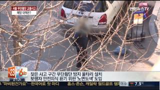 서울 무단횡단 교통사고 '횡행'…예방 대책은?