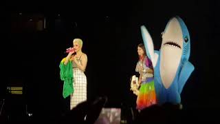 Katy Perry Witness Tour momento com a fã Victoria em SP