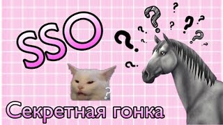 Как выполнить достижение "Звёздная наездница"? | Секретная гонка | Star Stable Online | SSO