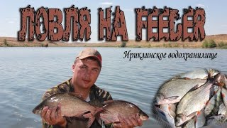ЛОВЛЯ НА ФИДЕР. Рыбалка на Ириклинском вдхр.
