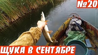ЛОВЛЯ ЩУКИ НА СНАСТОЧКУ И ЖИВЦА