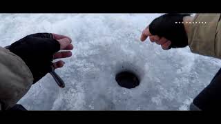 ПодЛещики на коромысло. Окуни на блесну СС. Тест блесны СС. 2019
