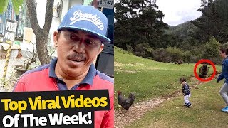 Top 50 Best Viral Videos Of The Month So Far (November 2019 - Wk1)