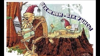 Русские пословицы и поговорки для детей