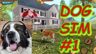 Dog Sim #1. Летсплей Симулятор собаки онлайн. Прохождение. Булат играет в игры