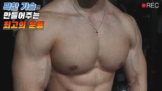 [가슴운동루틴] 헬스 초보자 꽉찬가슴 만드는 운동 5가지 자세 방법 노하우 | 운동자극 | 가슴루틴 | 가슴펌핑
