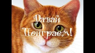 Игры для кошек