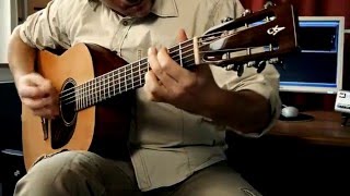 Roundshoulder Dreadnought | Seefeldt Stray Cat Part 4 - Blues Rhythm Guitar
