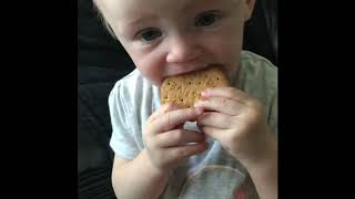 The little biscuit monster