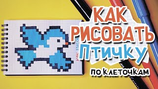 КАК наРИСОВАТЬ птичку по клеточкам УРОК РИСУНКИ ПО КЛЕТОЧКАМ