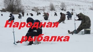 Народная рыбалка. Семилукский турнир по подледному лову 2017