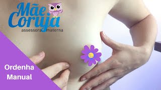 Como fazer ordenha manual - Mãe Coruja Assessora Materna
