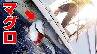 【水深1600m】巨大マグロを釣る‼
