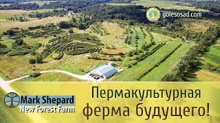 Пермакультурная ферма будущего (Марк Шепард)