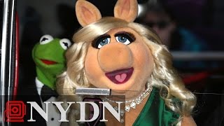 Kermit the Frog and Miss Piggy Call It Quits