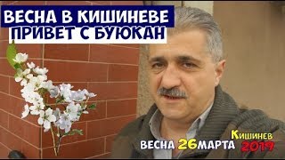 Весна в Кишиневе 2019 и немного о патриотизме и любви к Родине