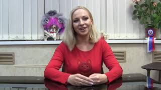 Грумер - лучшая профессия после декрета!