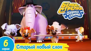 Озорная семейка - Старый новый слон | Поучительный мультфильм для детей