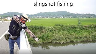РЫБАЛКА НА САЗАНА С РОГАТКОЙ. SLINGSHOT FISHING
