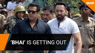 Breaking News || Salman Khan getting out on bail after getting convicted for poaching blackbucks