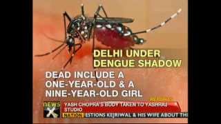 Dengue outbreak in India - NewsX