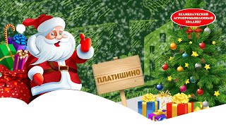 Новый год в деревне Платишино (Красногородского района)