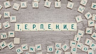 Вячеслав Боровских - Сколько можно терпеть?