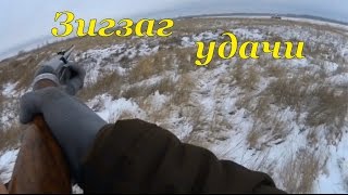 Охота на зайцев - Зигзаг удачи