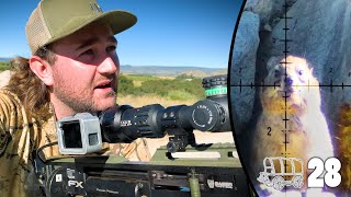 Slugging Dassies | The Oxwagon Diaries, pt.28