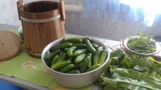 Засолка огурцов в бочке или кадке
