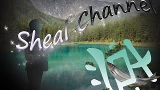 Непревзойденный Сомолов - Мадвотер / Cheesy Cat - Mudwater / как ловить сома