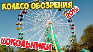 Колесо обозрения в Сокольниках 2019