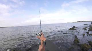 San Francisco Bay Area Striper Fishing