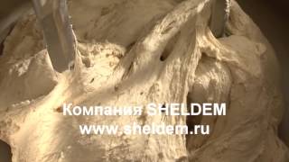 Тестомесильные машины с двуручными месильными органами
