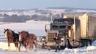 Дальнобой по США. Один рейс (part.5) Доставка к Пентагону в Вашингтон