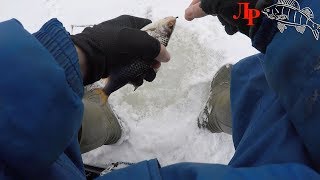 Рыбалка со льда,ловля окуня и плотвы!