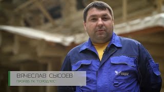 Строительство деревянных домов. Городлес в лицах